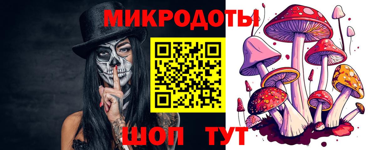 Южноуральск  Псилоцибиновые грибы Psilocybine cubensis  Вход с VPN 